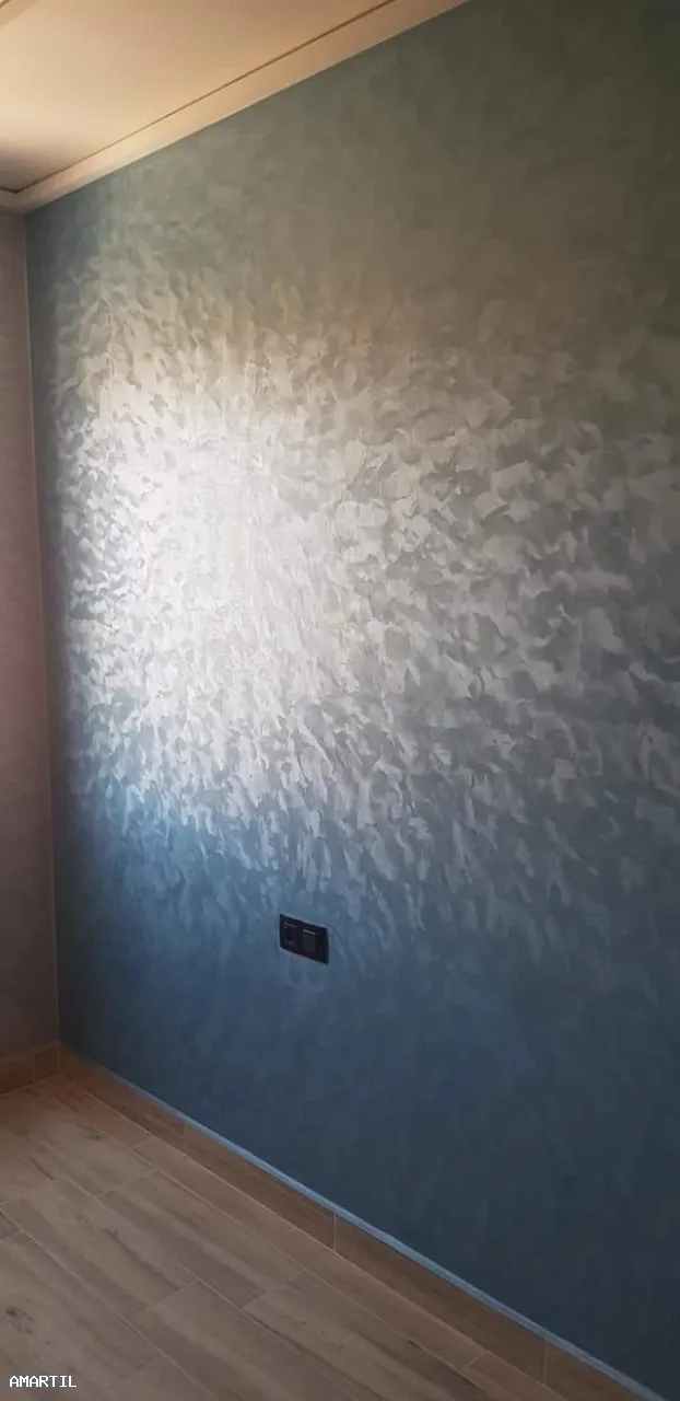 Peinture Professionnelle à Martil et Environs