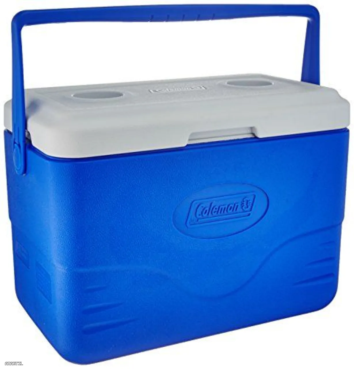 Glacières portables pour toutes vos sorties 