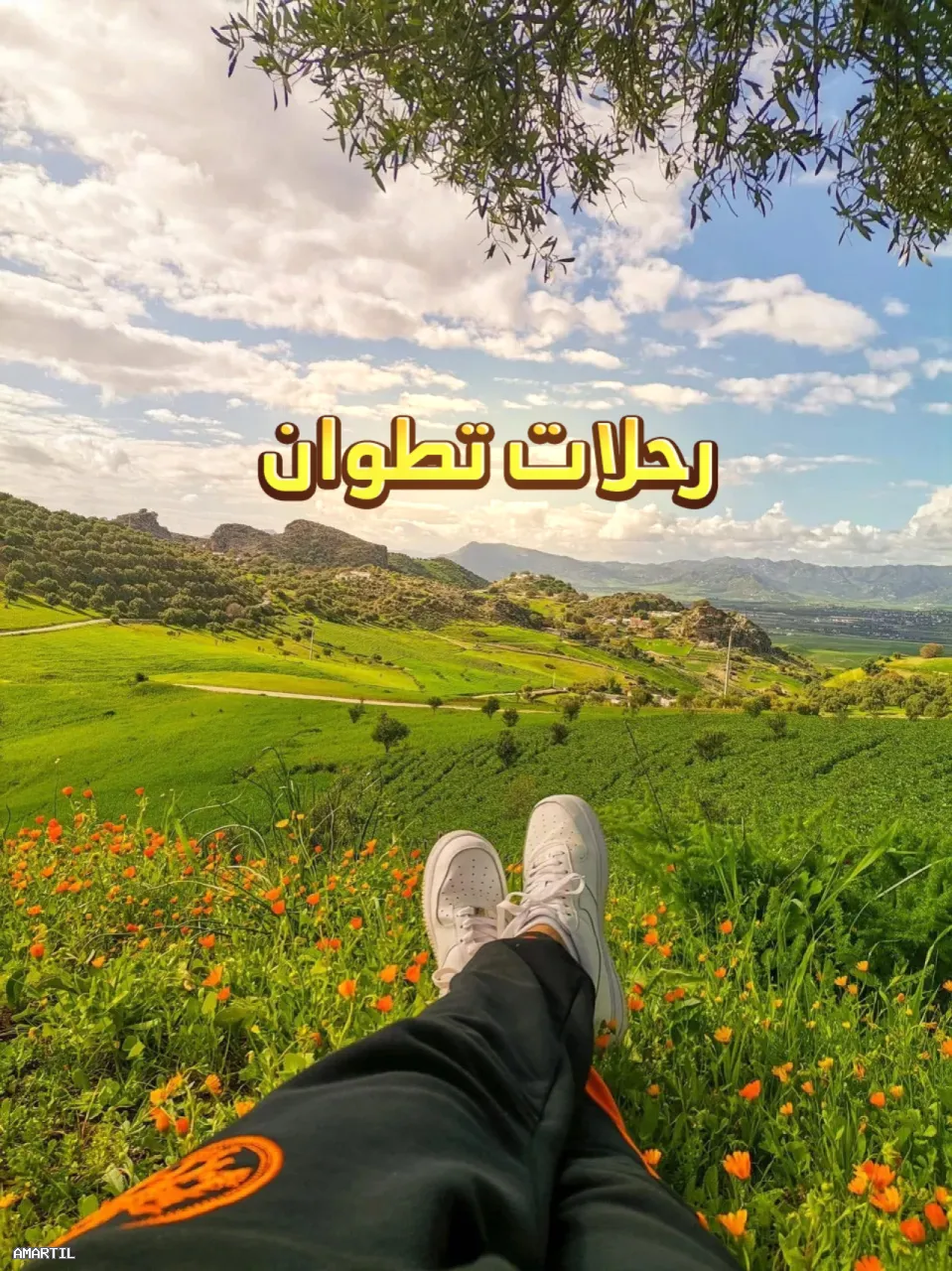 رحلات العودة للطبيعة: جبال غابات إطلالات بحرية