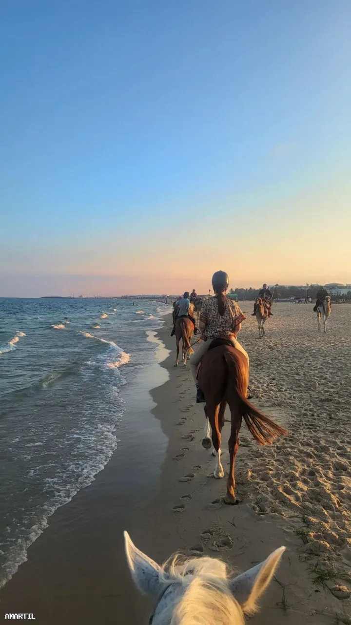 Expérience unique de balade à cheval