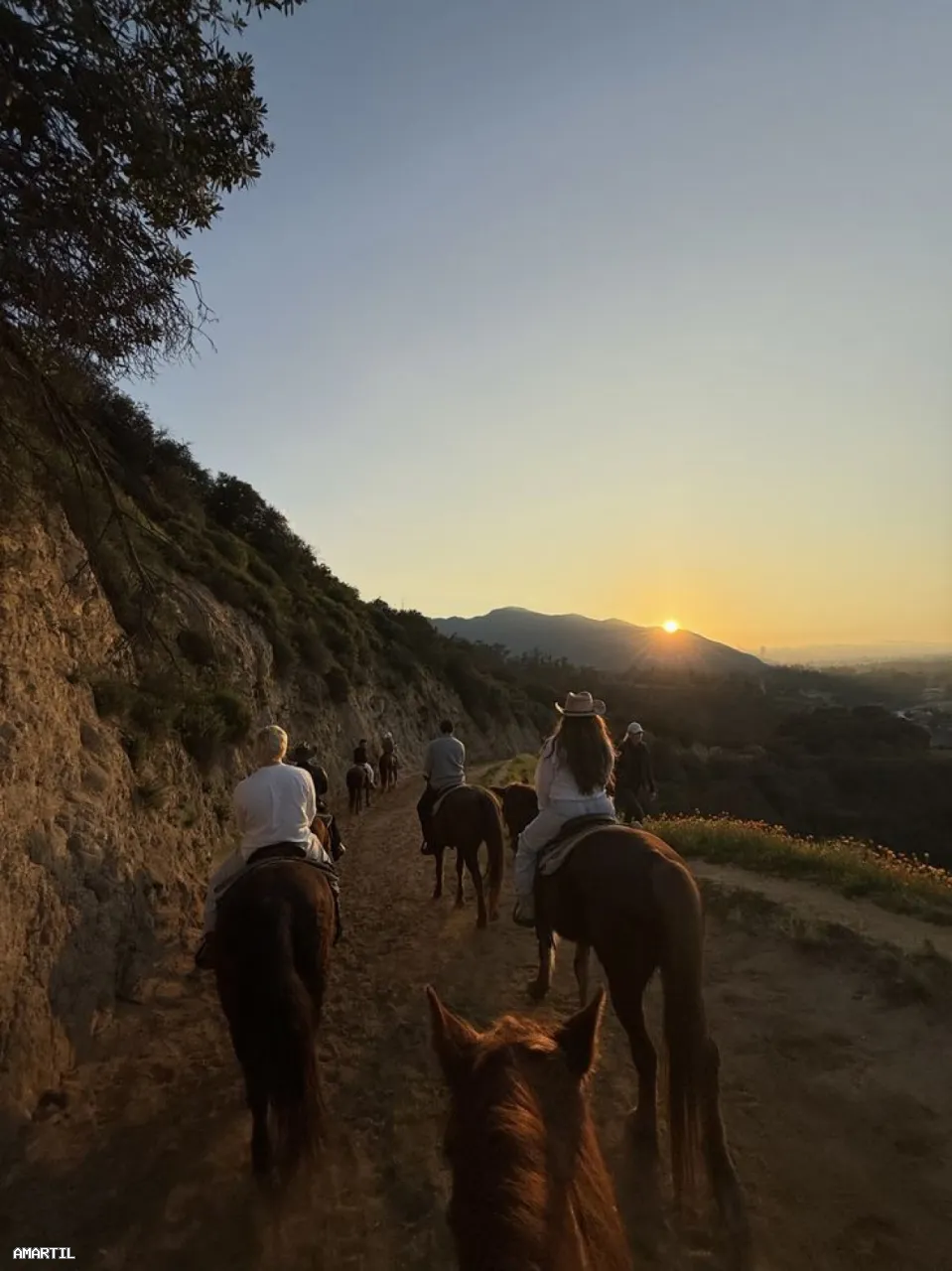 Expérience unique de balade à cheval