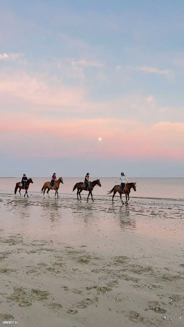 Expérience unique de balade à cheval