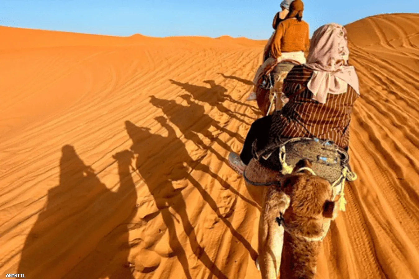 Explorez le Maroc avec nos circuits touristiques