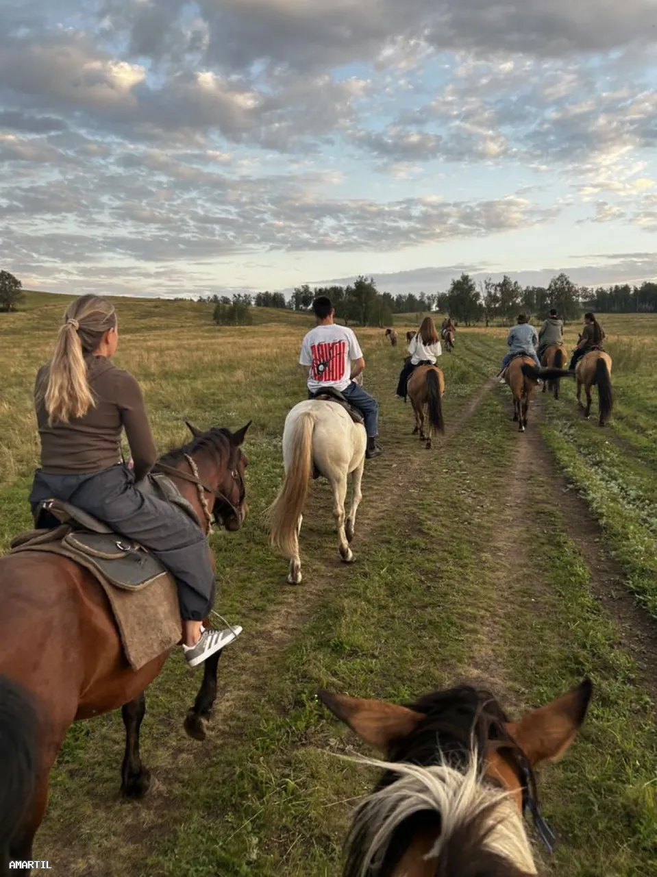 Expérience unique de balade à cheval