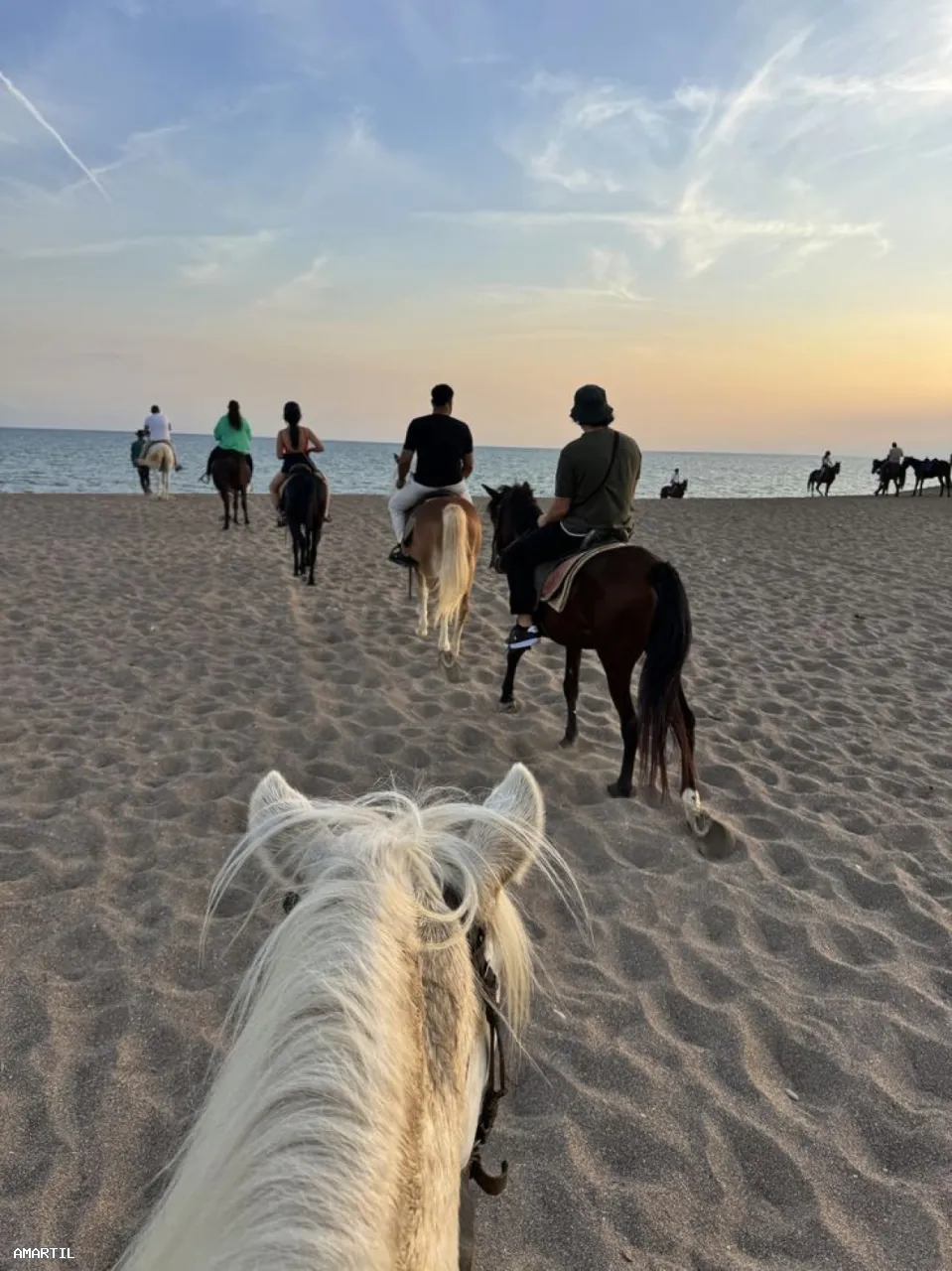 Expérience unique de balade à cheval
