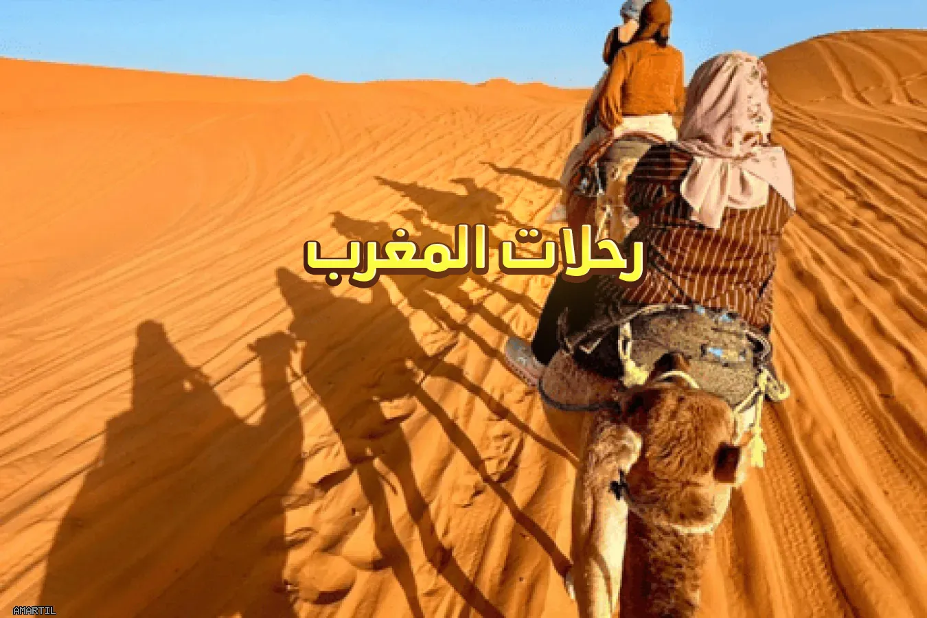Explora Marruecos con nuestros circuitos turísticos