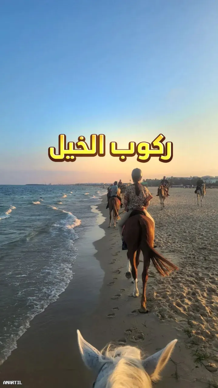 Expérience unique de balade à cheval
